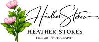 Heather Stokes Fine Art